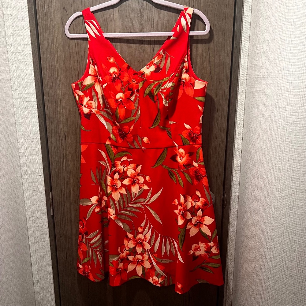 Dressbarn Red Floral Fit & Flare Dress Petite 12 (Retail ~$65)